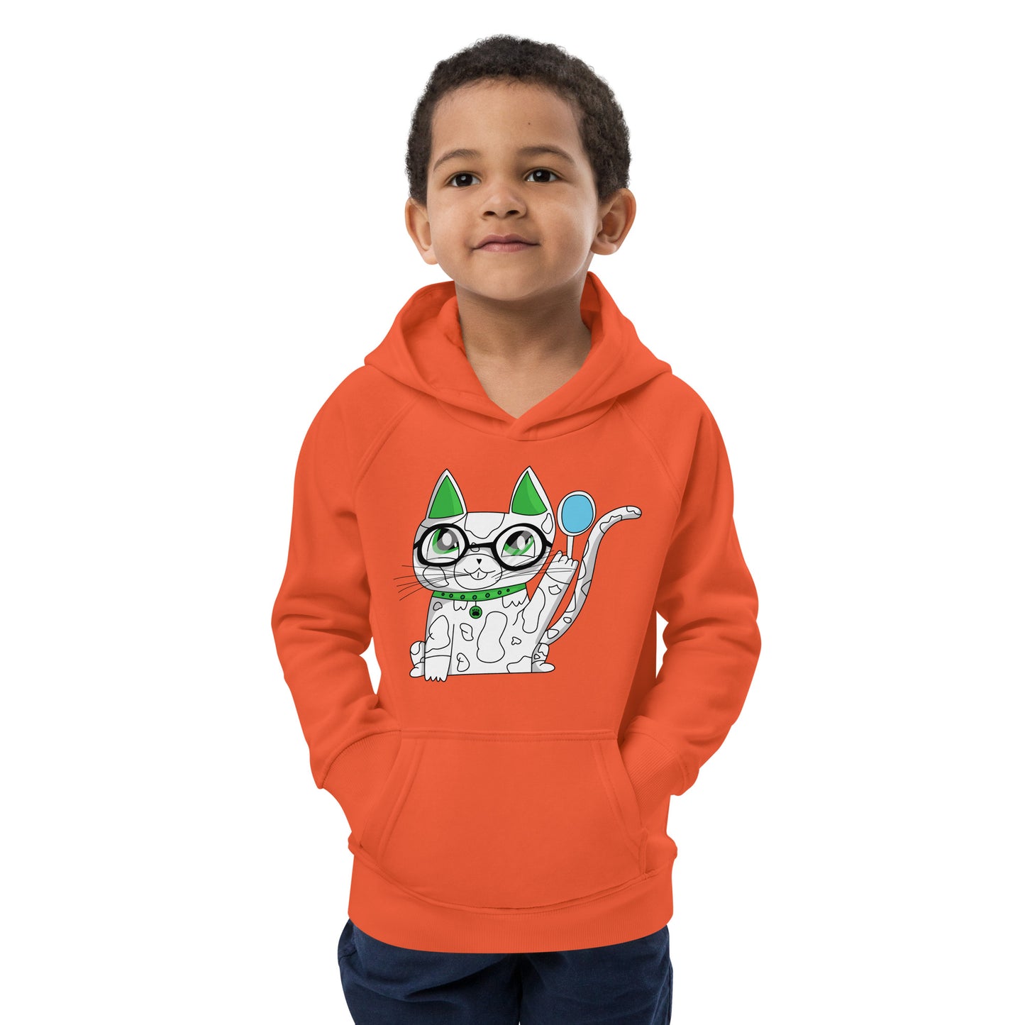Curios Cat - Ami's Cats Kids eco hoodie